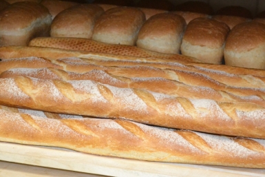 Тематическое фото Марина  Померанцева , ИА EAOMedia