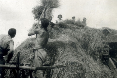 Молотьба в колхозе Валдгейм. 1935 г. Наследие ЕАО