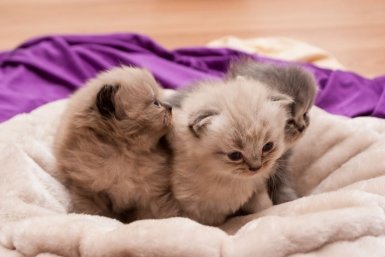 Тематическое фото pxhere.com