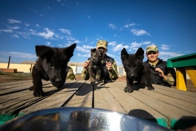 Тематическое фото Росгвардия