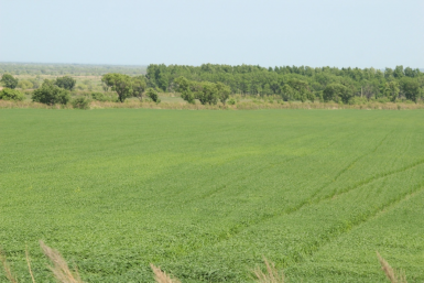 Тематическое фото ИА EAOMedia