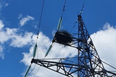 Тематическое фото ДРСК ЕАО