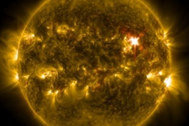 Тематическое фото https://pxhere.com/ru