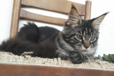 Тематическое фото pxhere.com