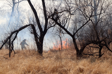 Тематическое фото Пресс-служба ГУ МЧС ЕАО