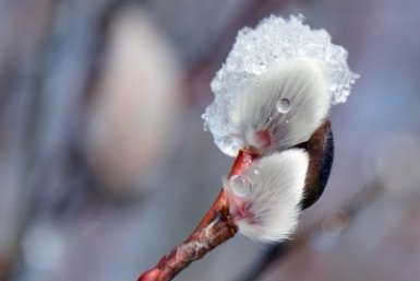 Тематическое фото pxhere.com