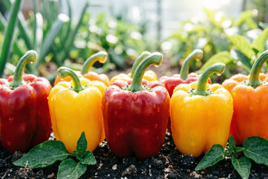 Тематическое фото ИИ Qwenlm.a (18+)