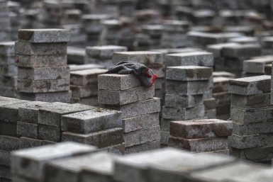 Тематическое фото ИА ЕАОMedia