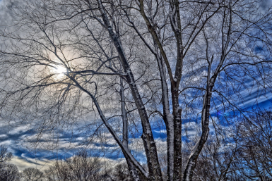 тематическое фото https://pxhere.com/ru/photo