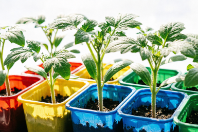 Тематическое фото ИИ Qwenlm.a (18+)