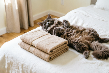 Тематическое фото ИИ Qwenlm.a (18+)