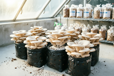 Тематическое фото Создано при помощи ИИ