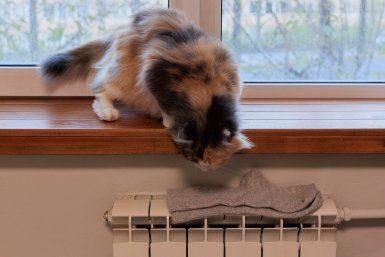 Тематическое фото Яна Гайдук, ИА PrimaMedia