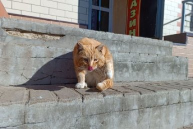 Тематическое фото ИА ЕАОMedia