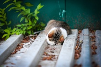 Тематическое фото ИА PrimaMedia