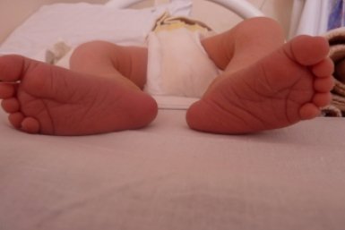 Тематическое фото ИА EAOMedia