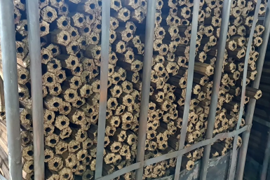 Тематическое фото мэрия Биробиджана