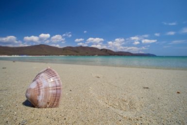 Гагра и Пицунда в прошлом - нашла местечко в Абхазии, где цены приятнее и сказочные пляжи Дмитрий Осипчук, ИА PrimaMedia.ru