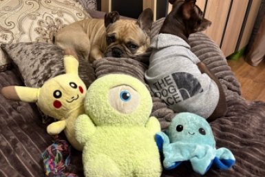 Тематическое фото ИА Stavropol.Media