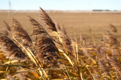 Тематическое фото ИА ЕАОМedia