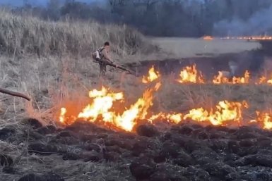 Тематическое фото правительство ЕАО