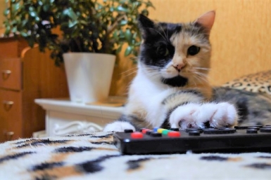 Тематическое фото ИА EAOMedia