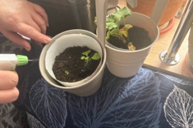 Тематическое фото ИА KrasnodarMedia