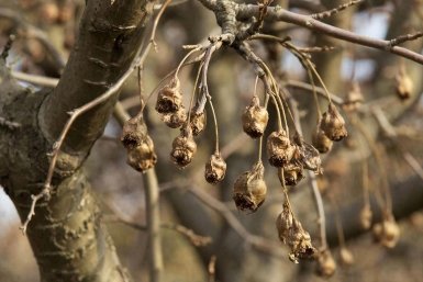 Тематическое изображение Сгенерировано с помощью ИИ