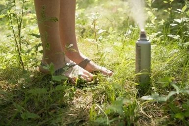 Клещи убегают как спринтеры: 4 пшика на обувь - смело гуляем в босоножках Cоздано с помощью ИИ