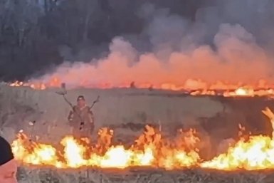 Крупный лесной пожар в ЕАО по площади составляет 80% действующих возгораний в стране