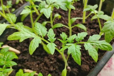 Тематическое фото Автора