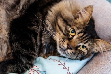 Начинаем рабочий день с полезной утренней подборки — гороскопа и погоды на 17 апреля