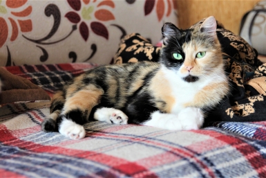 Тематическое фото ИА EAOMedia