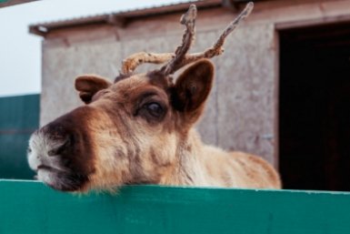 Тематическое фото ИА EAOMedia