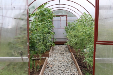 За месяц до высадки рассады – обязательно: как подготовить теплицу весной – не парник, а санаторий ИА EAOMedia, Письменова Ксения