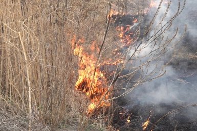 Весной пожар может возникнуть из-за любой оплошности: жителям ЕАО рассказали об опасностях