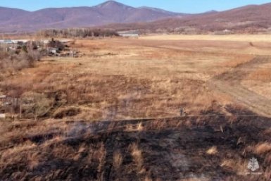 Двух поджигателей сухой травы установили по горячим следам в Ленинском районе ЕАО