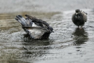 Тематическое фото ИА EAOMedia