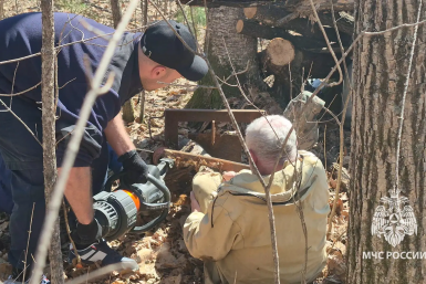 В медвежий капкан угодил житель ЕАО во время похода за березовым соком