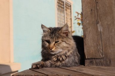 Тематическое фото ИА PrimaMedia (18+)