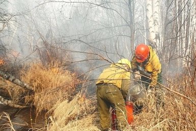 Единственный действующий лесной пожар локализован на территории ЕАО
