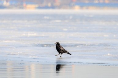 Тематическое фото ИА PrimaMedia