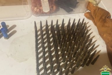 Тематическое фото УМВД РФ по ЕАО