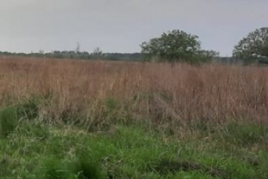 Тематическое фото ГУ МЧС России по ЕАО (из архива)