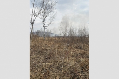 Тематическое фото правительство ЕАО