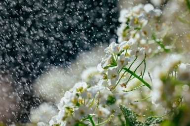 Оглушительный шквал успеха ждет пять Знаков Зодиака: гороскоп для счастливчиков на май