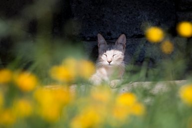 Избавиться от суеты и перейти к порядку необходимо всем Знакам Зодиака на новой неделе