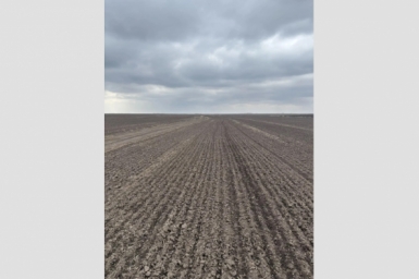 Тематическое фото правительство ЕАО