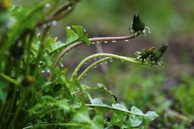 Тематическое фото ИА ЕАОMedia