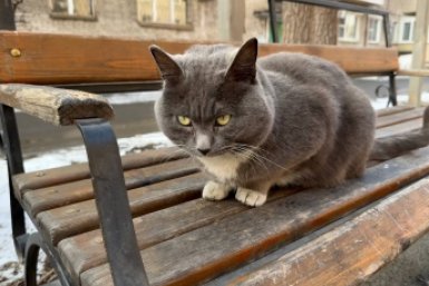 Тематическое фото Кудрявцева Марина, ИА UssurMedia